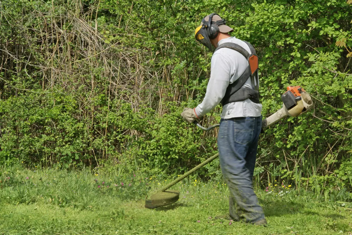 Débroussaillage & défrichage Béthune